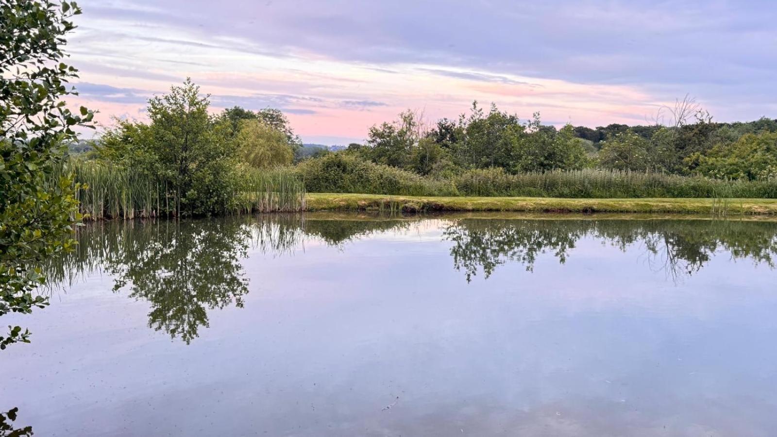 Bransford Farm Fishery & B & B Eksteriør billede